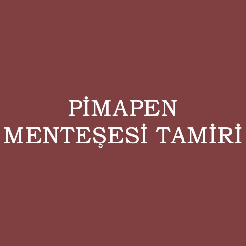 PİMAPEN MENTEŞESİ TAMİRİ